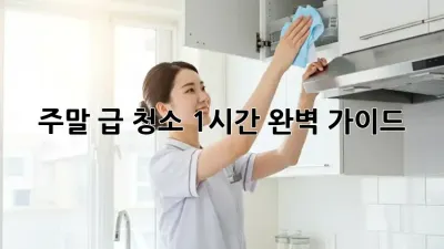 주말 급 청소! 1시간 완벽 가이드 ✨