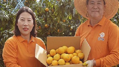 ✨ 놓치면 후회! 팔일금과 솔직 후기 & 꿀팁 대방출 🍯